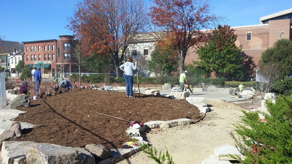 Planting 2
