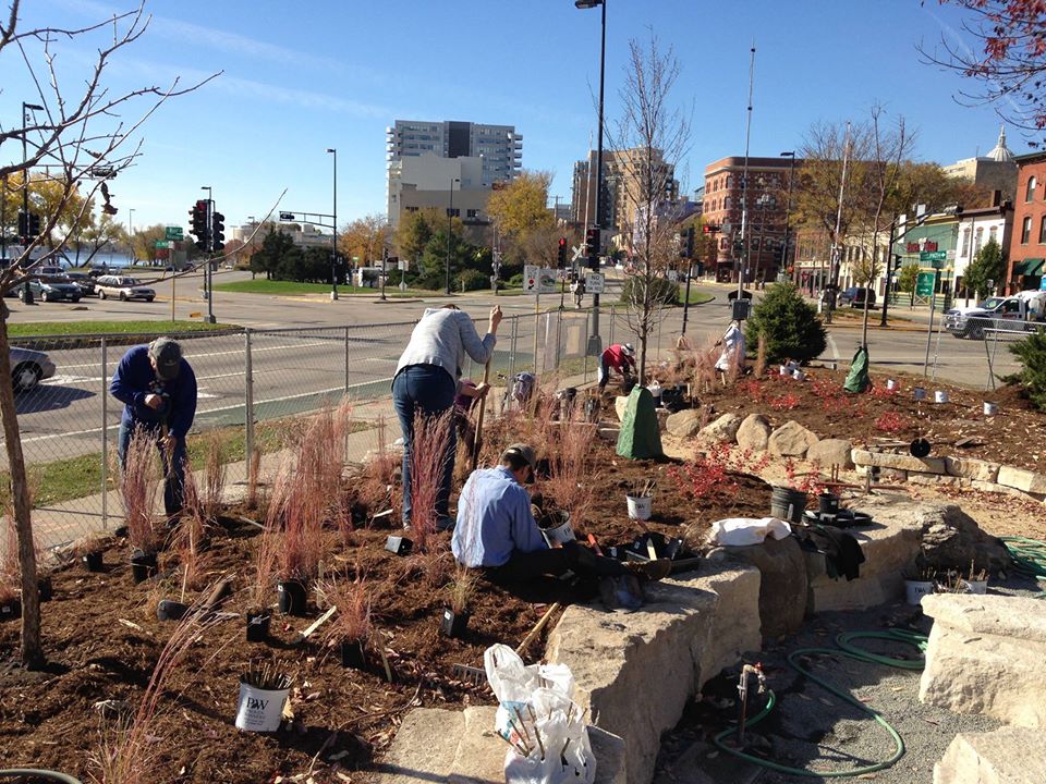 Planting 3