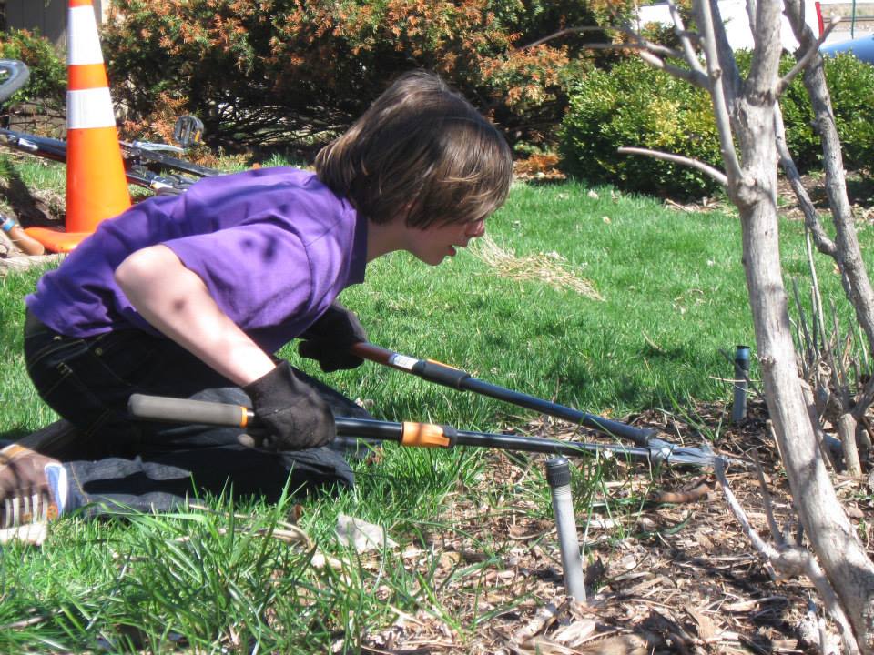 Volunteer pruning