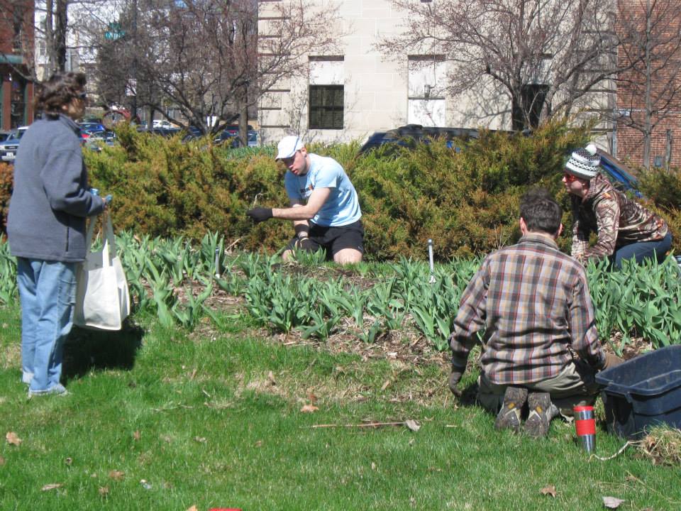 Volunteer cleaning up